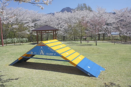 ＜アジリティー＞Ａランプ