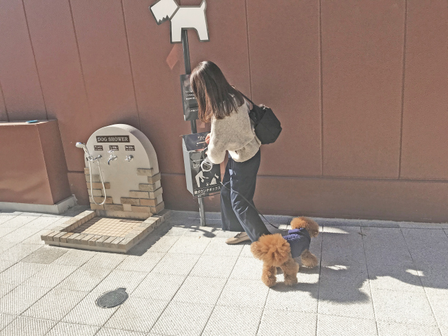 ウンチボックス＜ポストタイプ＞