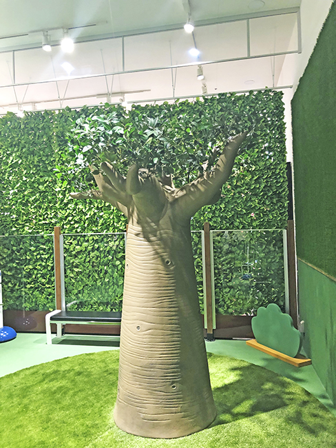 バオバブの木