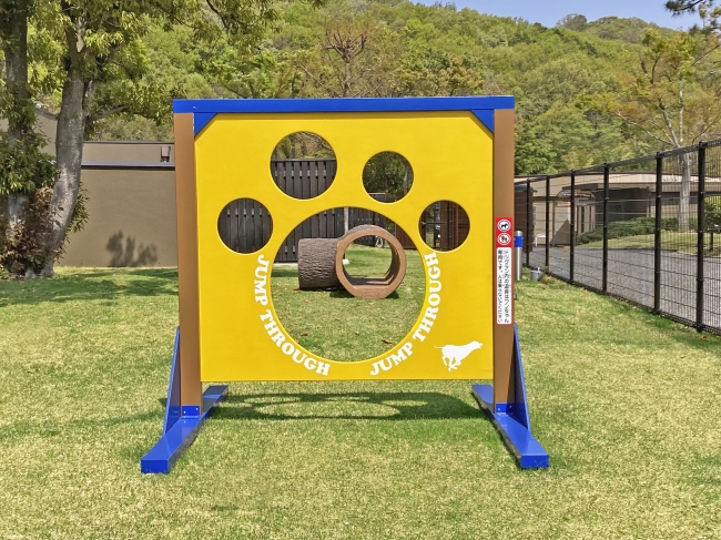 ジャンプスルー・プレイ
