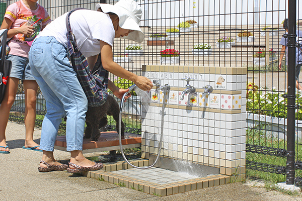 ドッグシャワーコンビ　デザインタイルタイプ