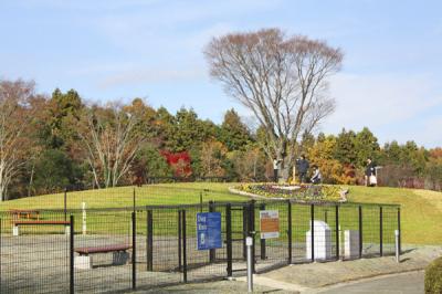 東名高速道路・EXPASA足柄 ドッグラン