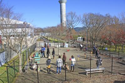 東名高速道路・EXPASA足柄 ドッグラン