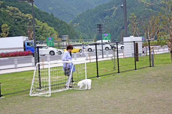 サッカーゴール