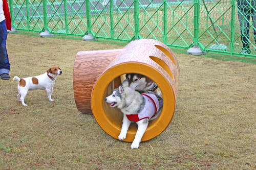 丸太トンネル　ソフトタイプ