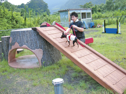 切り株すべり台　RCタイプ