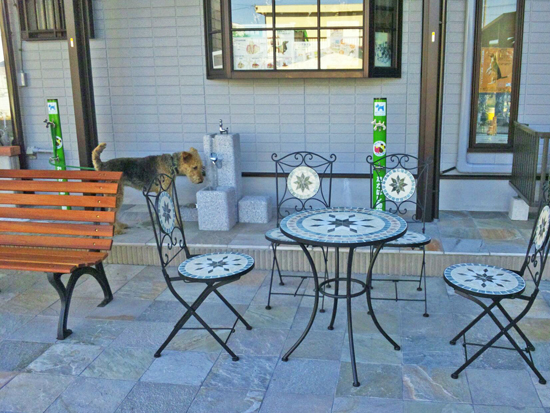 大阪府四条畷市　たかはし動物病院