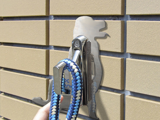 ゴールデン・レトリバー