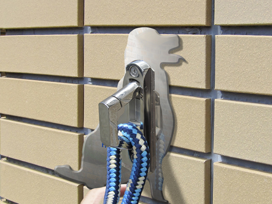 ゴールデン・レトリバー