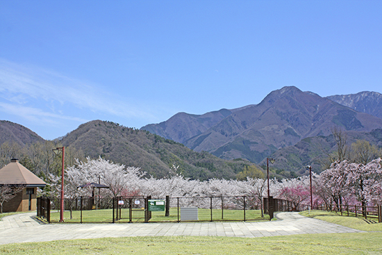 富士川クラフトパーク　ドッグラン