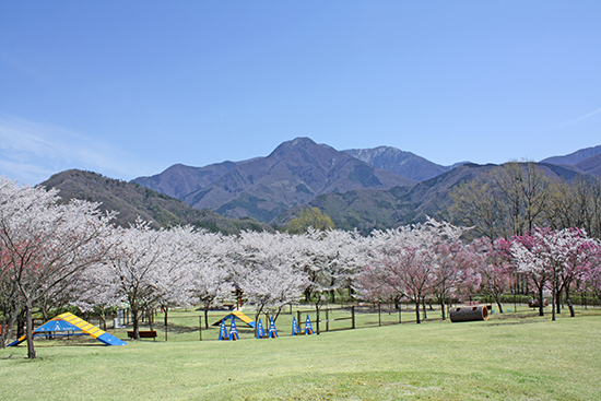 富士川クラフトパーク　ドッグラン