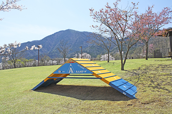 ＜アジリティー＞Ａランプ