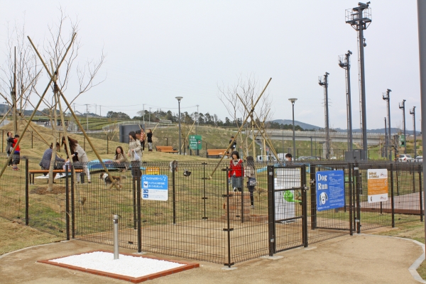 下り線  フリースペース、小型犬用エリア併せ７６５㎡のドッグランが登場しました！