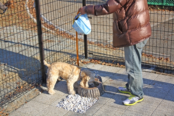 ドッグ専用水飲み　擬木タイプ