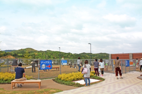 新東名高速道路・NEOPASA浜松 ドッグラン