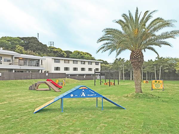 わん’s LAND TATEYAMA  Part ①