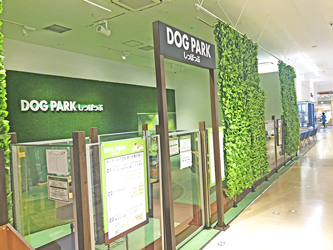 イオンペット  PETEMO大高店『室内ドッグラン』