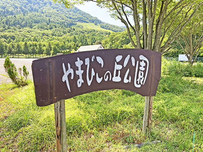 木島平やまびこの丘公園  ドッグ遊具