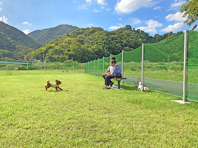 川の駅　伊豆城山  ドッグラン