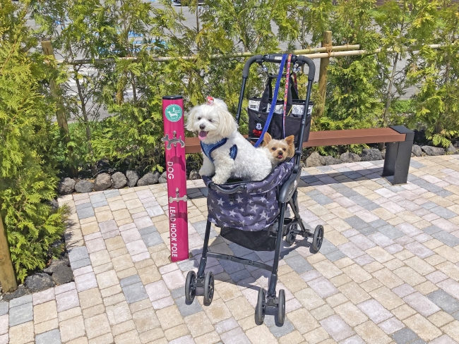 軽井沢・プリンスショッピングプラザ 『ドッグ衛生製品』