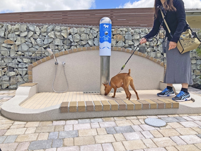 ドッグトイレ＜水洗おしっこタイプ＞