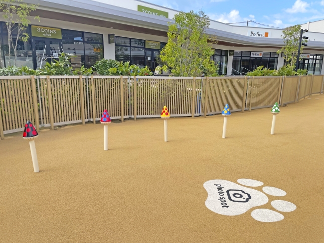 きのこのスラローム