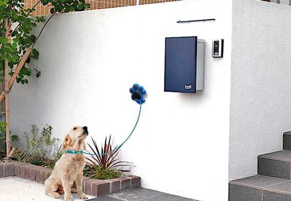 <br />
<b>Warning</b>:  Undefined variable $parent_term in <b>/home/adshinb1/dog-labo.jp/public_html/wp-content/themes/dog_lab/archive-items.php</b> on line <b>45</b><br />
<br />
<b>Warning</b>:  Attempt to read property 