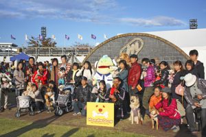 img5099bbb453daf