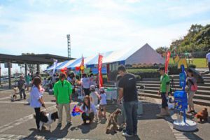 img50874e8cb60c3