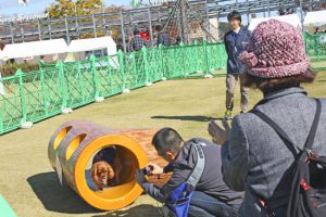 img5099bc899fc94