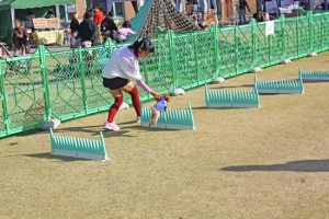 img5099bd409d3db