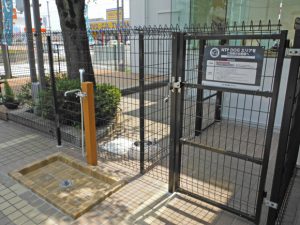 img52205d5bcf919