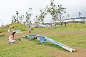 workplay